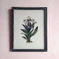 INDIAN BOTANICAL GLASS PAINTINGS 