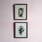 INDIAN BOTANICAL GLASS PAINTINGS 