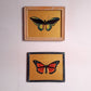 INDIAN INSECT GLASS PAINTINGS 